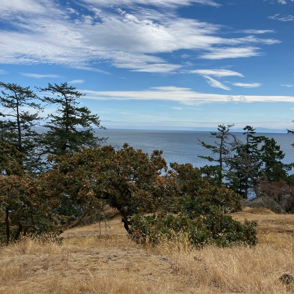 Meet your Posher, Robin - Picture 1 of 1